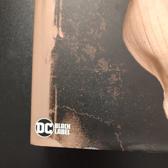 THE ANNOTATED SANDMAN VOL 1 ISSUES 1-20 BLACK LABEL BY NEIL GAIMAN VERTIGO - Picture 4 of 16